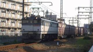 【JR】 貨物列車 72レ 〔EF65-1083 牽引〕 @新小岩操~金町