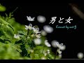 男と女 Chage Mp3 Mp4 Free download