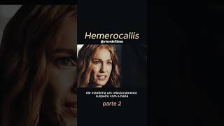 #cinema #filme #movie #movieclips #netflix #adorocinema #pipoca #pipocando #hemerocallis