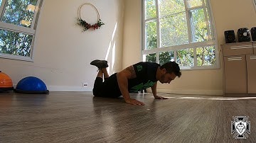 08 - Flexão de Braço com joelhos no chão