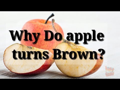 Video: Why Does The Apple Darken