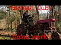 #164 Felling big Elm trees and working the 49’ Farmall Cub!