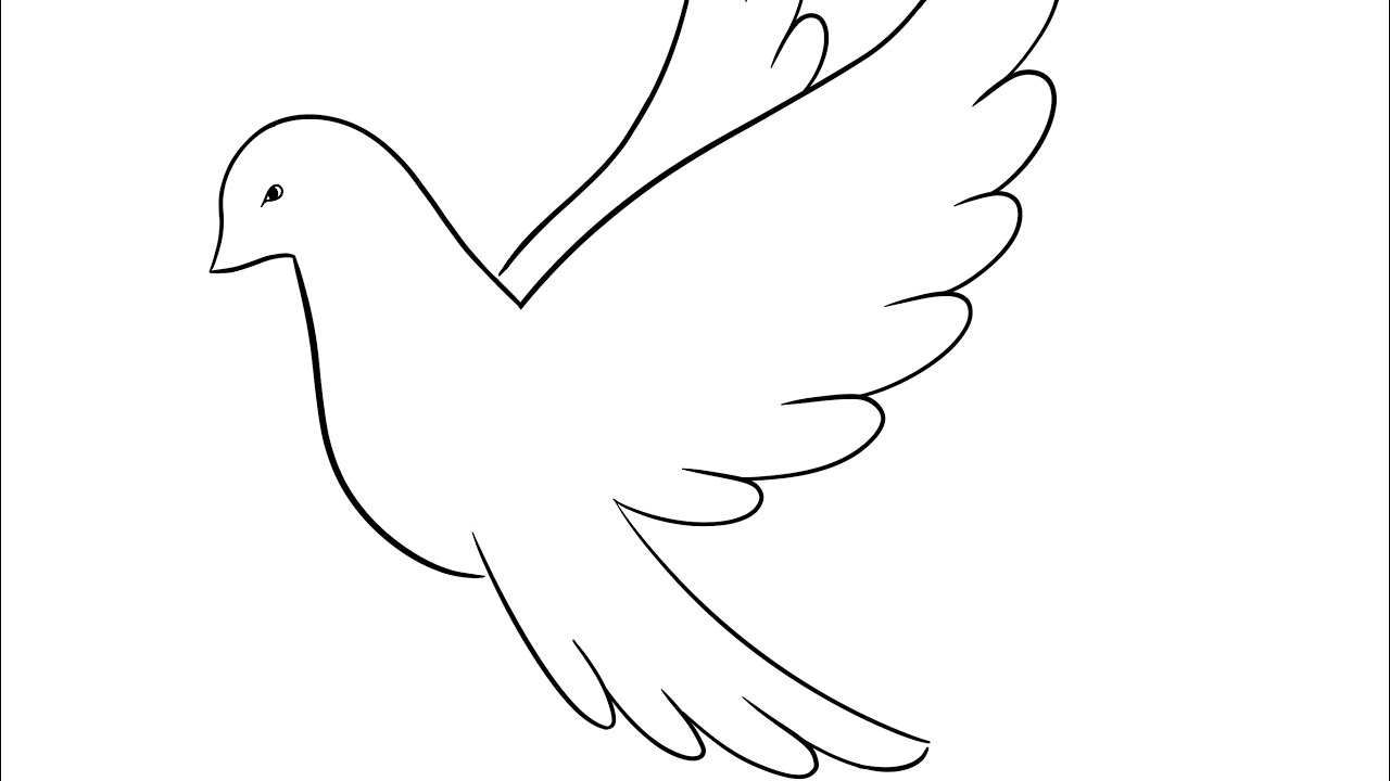 How to draw - dove - Procreate