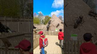 Wild Moments At Wingham Wildlife Park Up Close With Animals Like Never Before