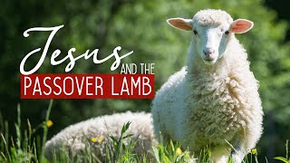 Jesus & The Passover Lamb