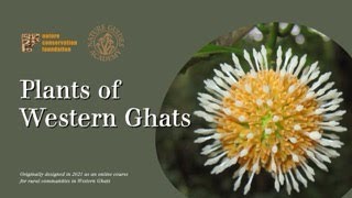 Episode 16: Plants of Western Ghats