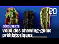 Sude  les secrets de chewinggums prhistoriques rvls