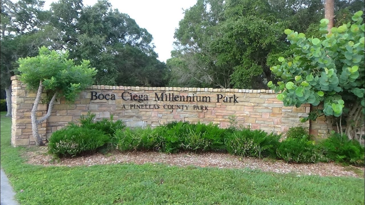 A Tour of Boca Ciega Park YouTube