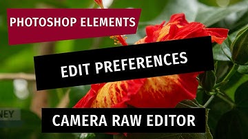 Photoshop Elements: Edit Camera RAW Preferences