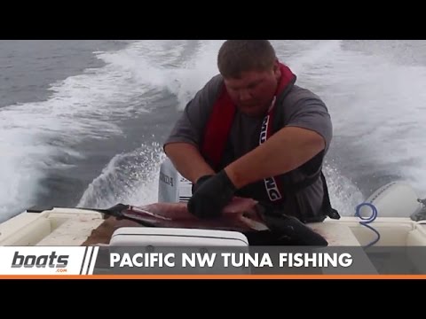 Tuna Fishing in the Pacific Northwest