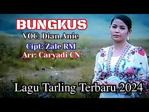 BUNGKUS‼️VOC:DIAN ANIC LAGU TARLING DANGDUT TERBARU 2024⁉️