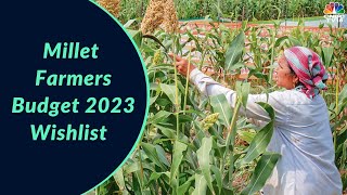 Spotlight On Millet Cultivation: Here's Millet Farmers Budget 2023 Wishlist | CNBC-TV18