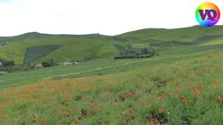 Asiq Mehdi - Yay olanda bir yaylaqda olasan (Tovuz Çeşməli) Resimi