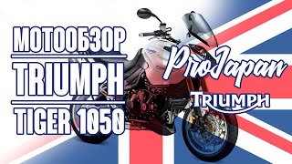 :  Triumph Tiger 1050 2008.    .