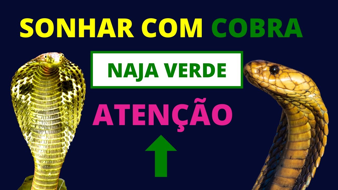 Significado de sonhar com cobra naja. Veja se há o que temer