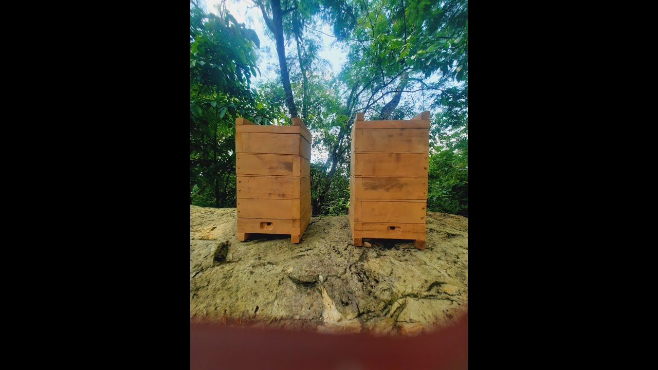 MODELO DE CAJA INPA QUE SE USA EN EL MELIPONARIO.!!!