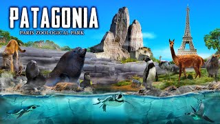 Zoo Tours: Patagonia | Paris Zoological Park