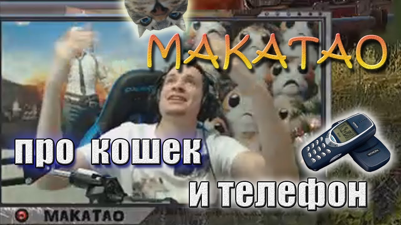 funny moments lol Истории про кошек и телефон от Макатао