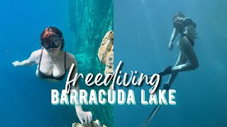 Freediving Sa Barracuda Lake Day 4 Sa Coron