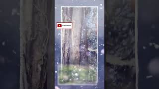 Exploring Vumba Mountains Hidden Natural Wonders