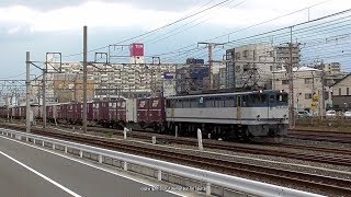 JR貨物　EF65 2050号機が牽引する5087ﾚ貨物列車を吹田駅西側付近で撮影（R1.9.4)