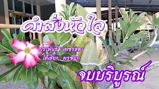 {คำสั่งหัวใจ} จบบริบูรณ์