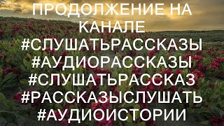 Продолжение на канале #слушатьрассказы #аудиорассказы #слушатьрассказ #рассказыслушать #аудиоистор