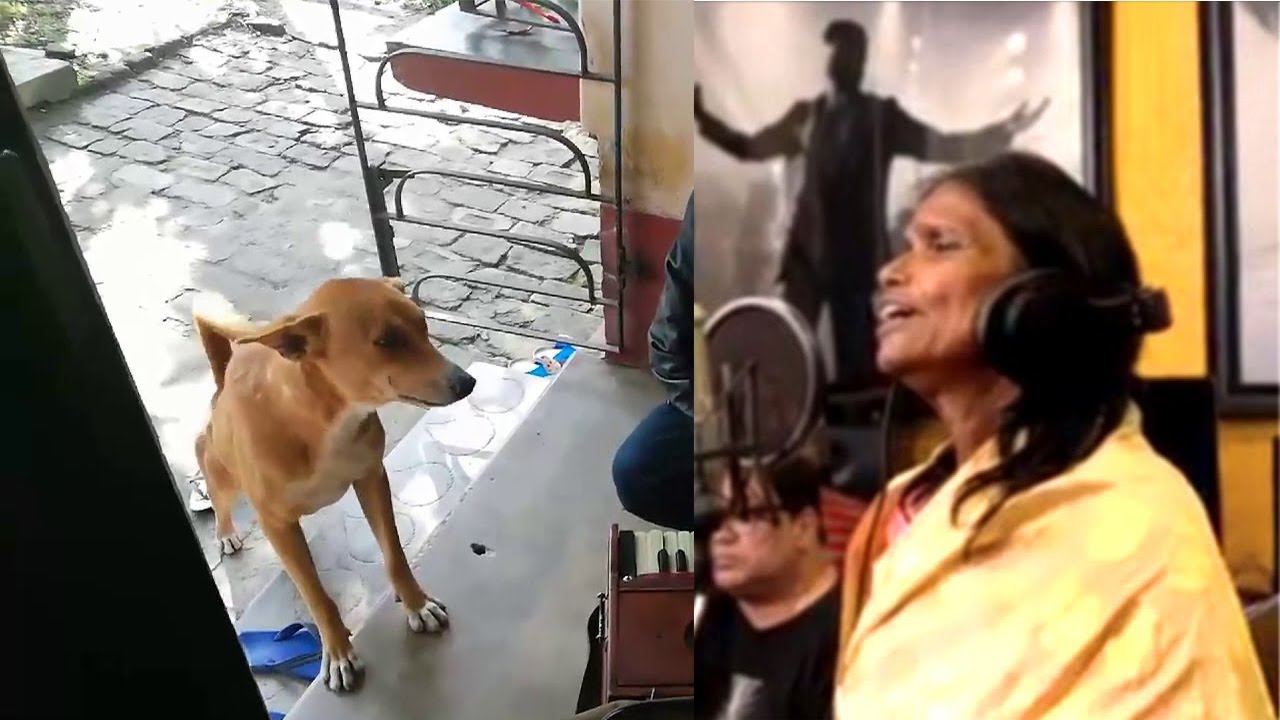 Dog sings 'Teri Meri Kahaani' along with man, has Ranu Mondal seen it