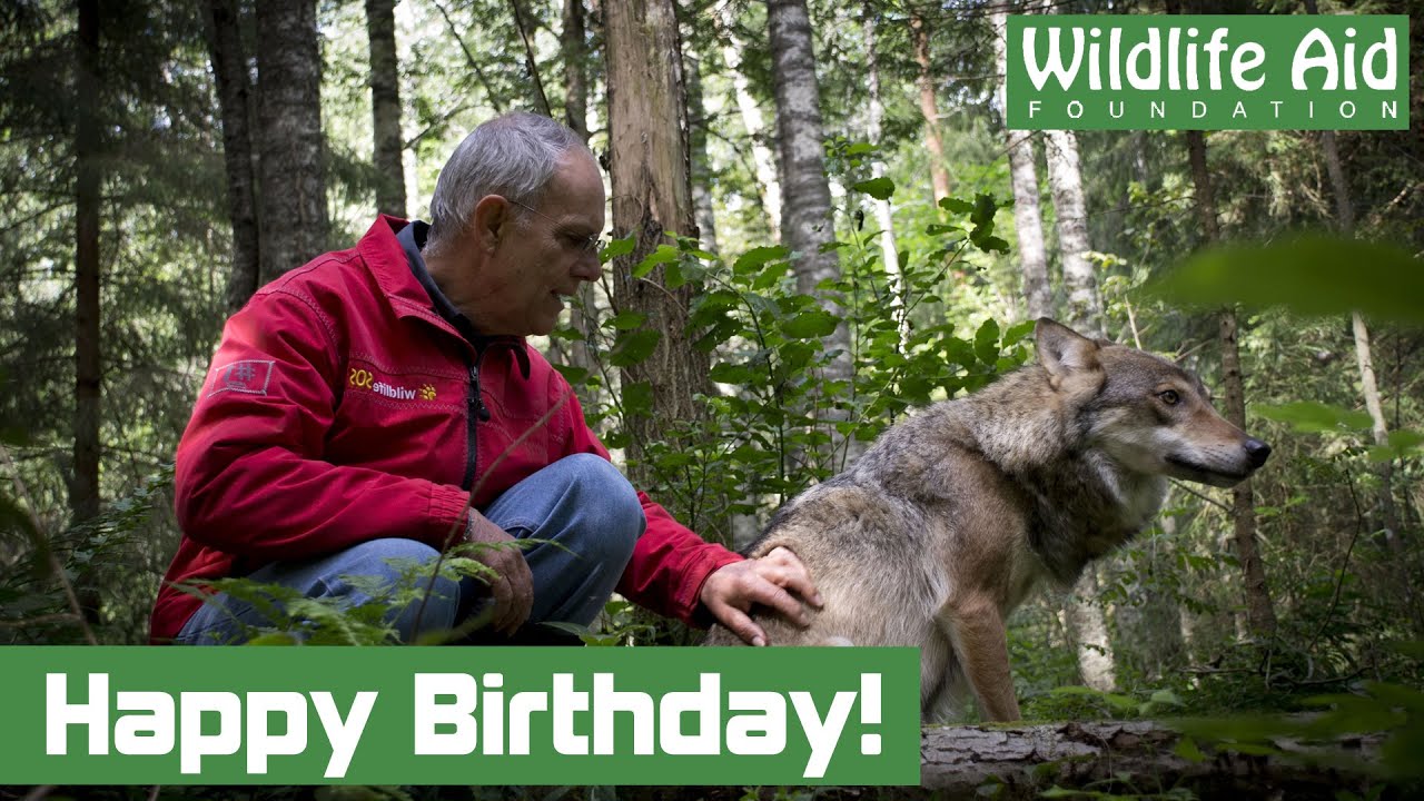 Happy Birthday Simon Cowell!