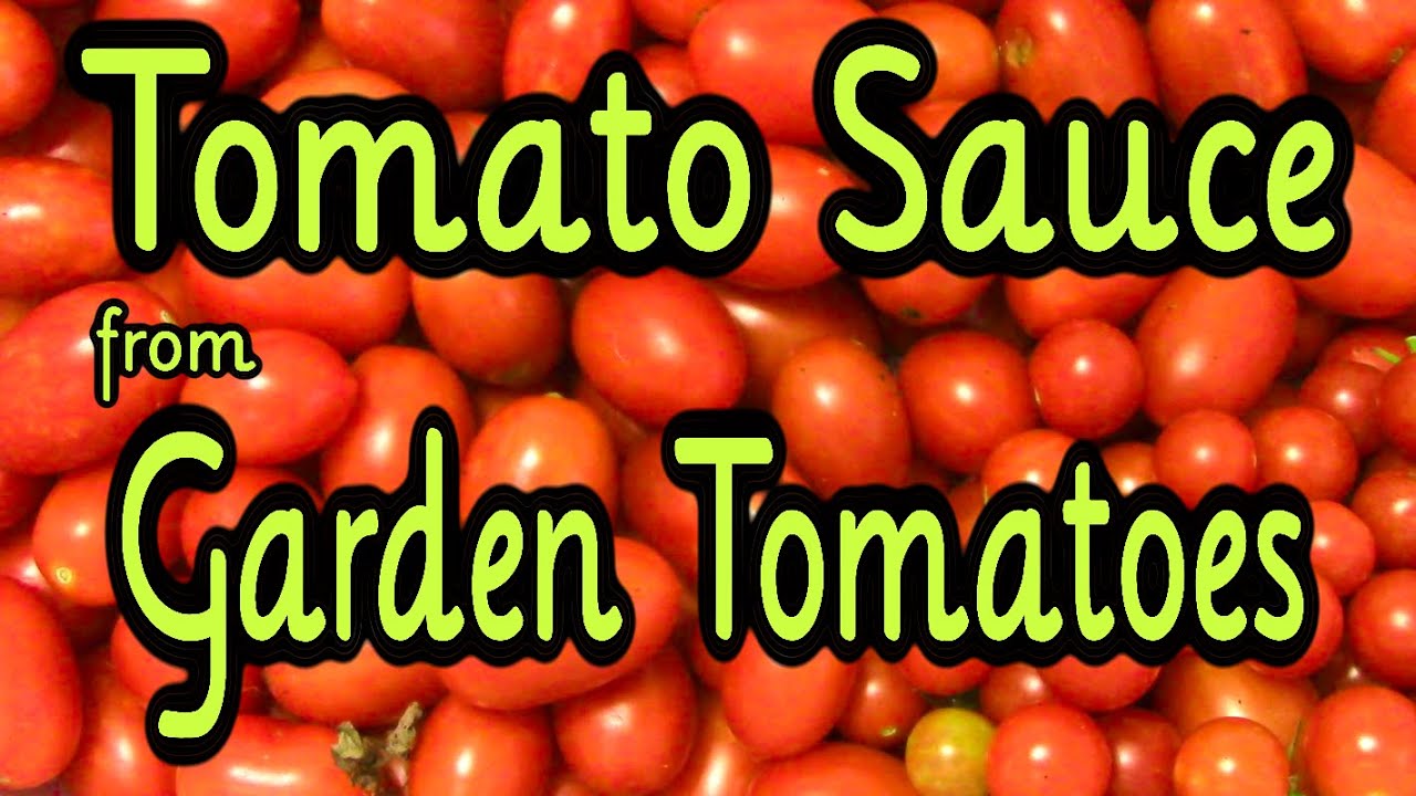 Making Tomato Sauce with a Vitamix YouTube