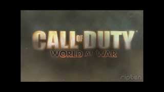 CoD5 coloured name glitch, flash name, rainbow name, bounce name,