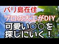 【バリ島】【第2話 作業場創り】#37 可愛いセメントタイルを買いにゆく