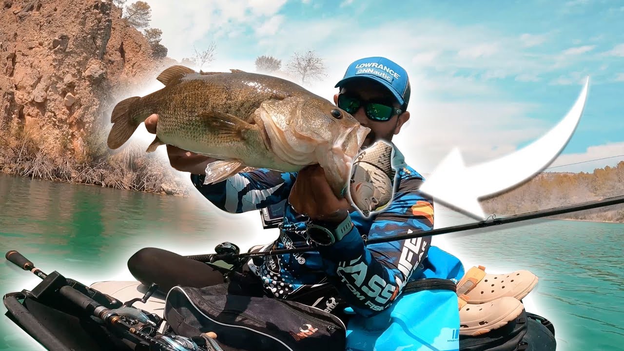 PESCANDO SOMBRAS entre CORTADOS con SWIMBAIT | Pesca de BLACK BASS