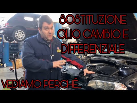 Quanto e’ importante sostituire l’olio del cambio e del differenziale?