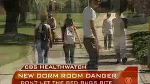 Dorm Room Bedbugs