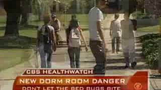 Dorm Room Bedbugs
