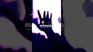 5 Massive Big Room Drops You Need to Hear #melomaniac #dj #bigroom2026