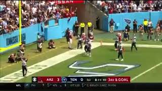 DeAndre Hopkins amazing back of the end zone TD Catch