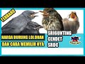 Harga dan cara memilih lolohan srigunting , lolohan srdc , lolohan cendet