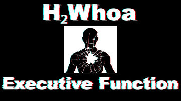 Executive Function - Music by H2whoa