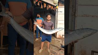 Biggest Seerfish Cutting In Indian Markets | Big king fish cutting