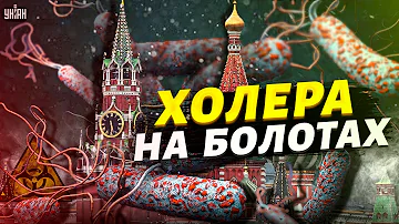 Россиянам вернулся бумеранг. Оккупантов на юге скосила холера - мрут как мухи
