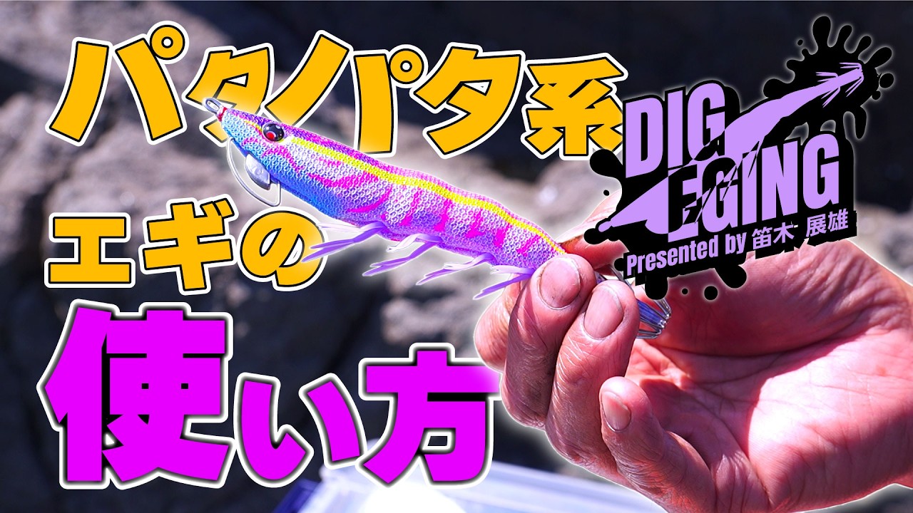 パタパタ系のエギの使い方はこうだ!枕崎の春イカを攻略!in鹿児島│ DIG EGING#13(1690)