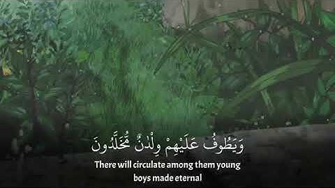 قرآن كريم بصوت أحمد النفيس | حالات واتس اب دينية 💚