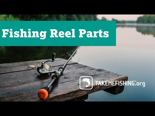 Spinning reel parts  Spinning reels, Fishing reels, Fishing tools