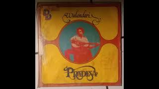 Endar Pradesa - Wulandari