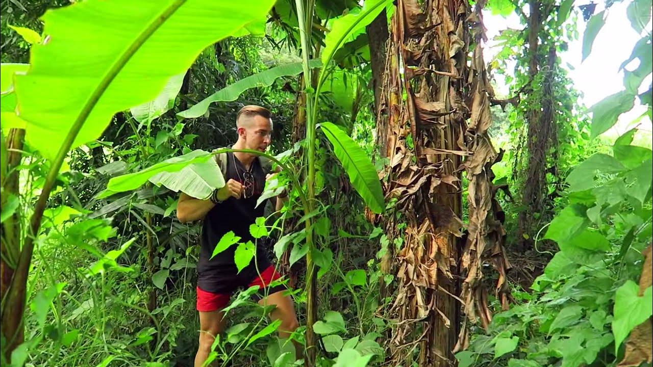 Muay Thai "Buakaw" Banana Tree Kick YouTube
