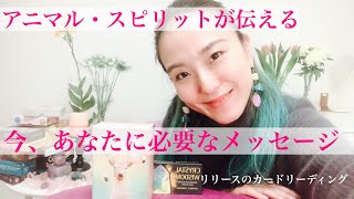 アニマル・スピリットが伝える