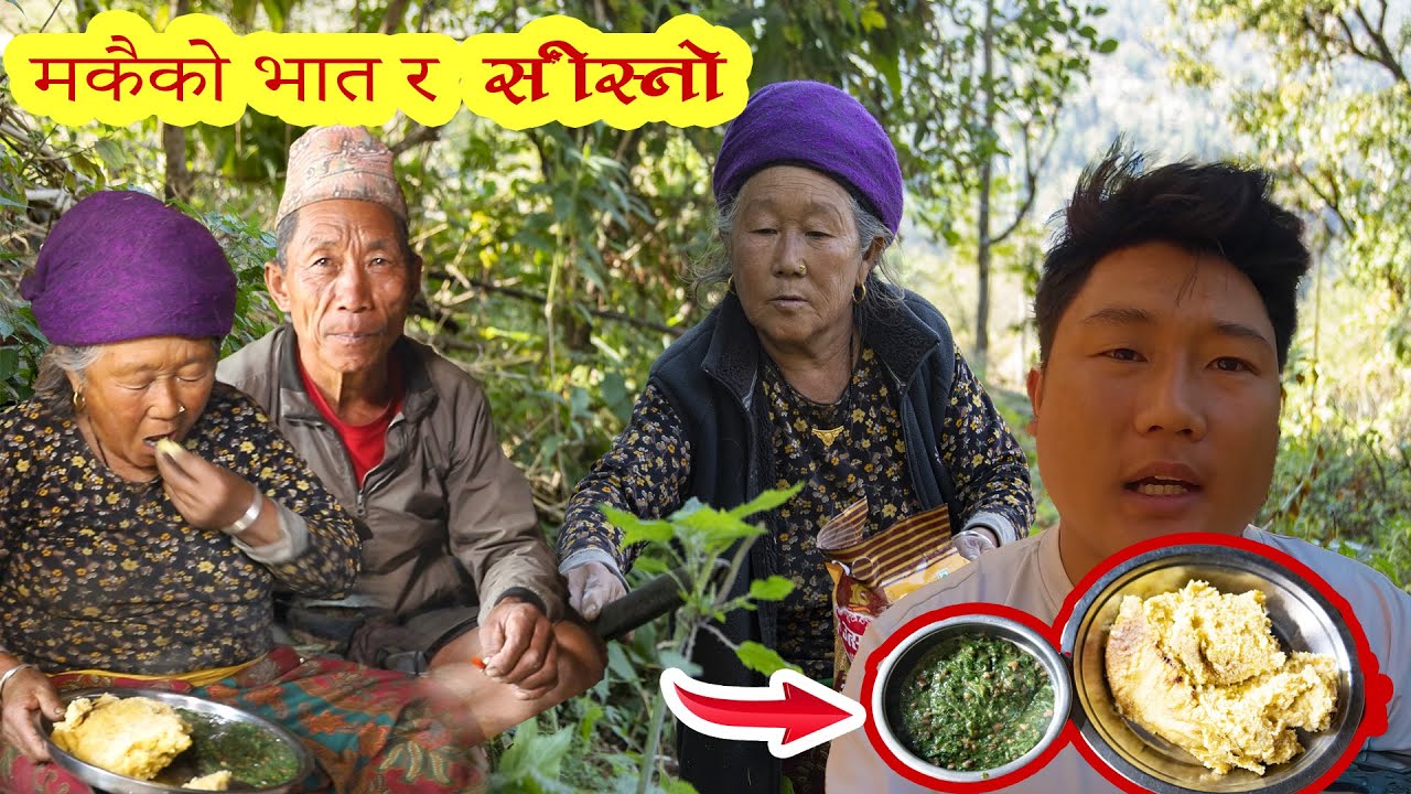 Eating organic Green nettle curry with corn rice(THEPLO)Nepali local ...