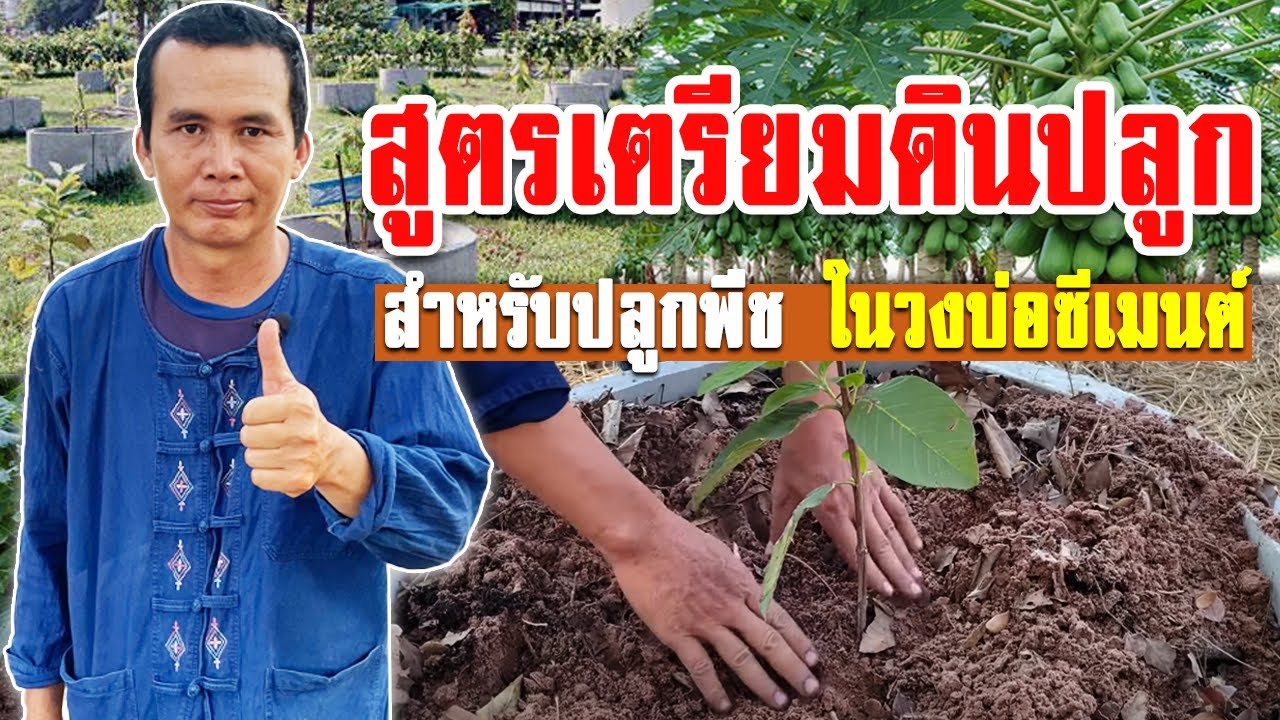 การเตรียมดินปลูกสำหรับวงบ่อซีเมนต์